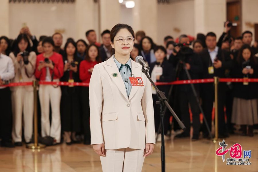 npc-cppcc-policy-influence-china-y2x2io7d