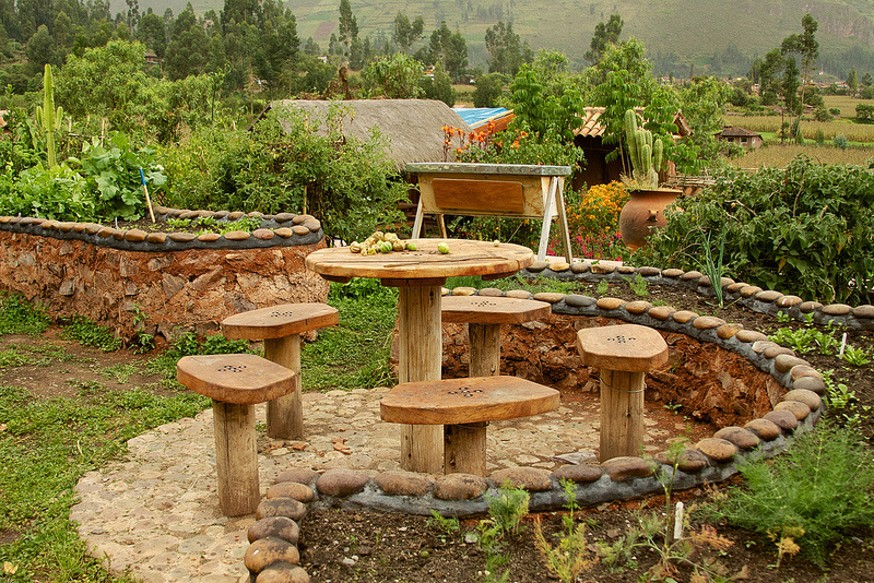 farmyard scenery and organic feed