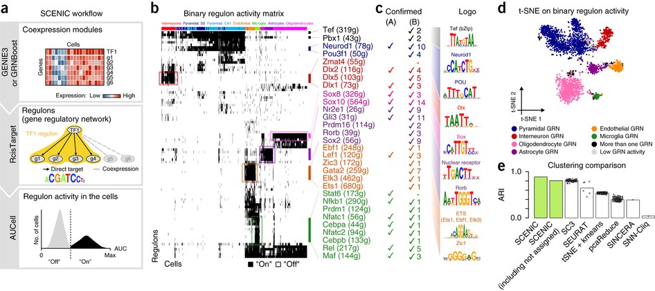 scenic electronic technology financial analysis