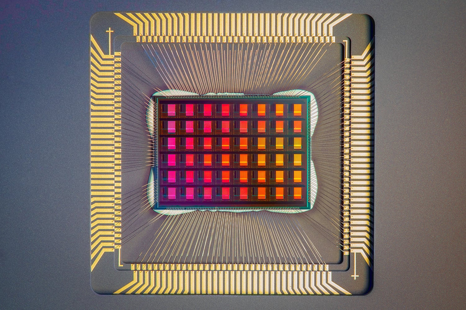technology chips campus