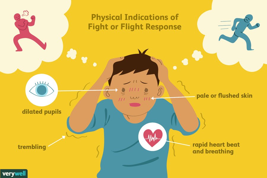 Fight-or-flight response