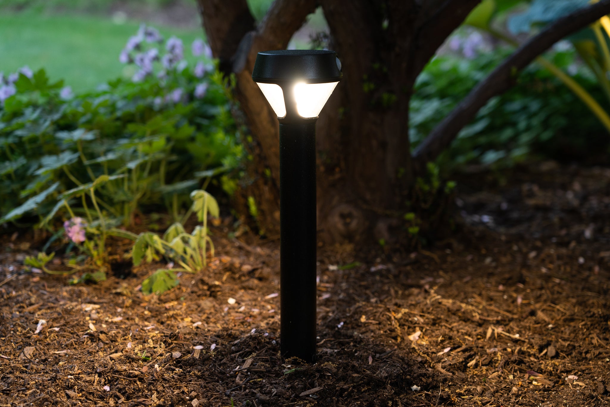 school outdoor party solar lighting