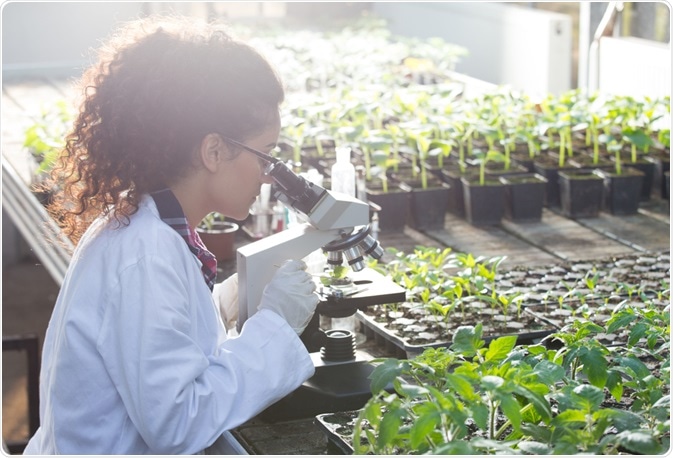 agricultural field with biotech lab equipment