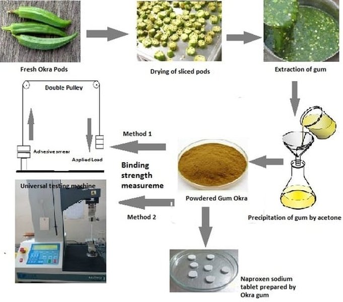 okra field adhesive natural