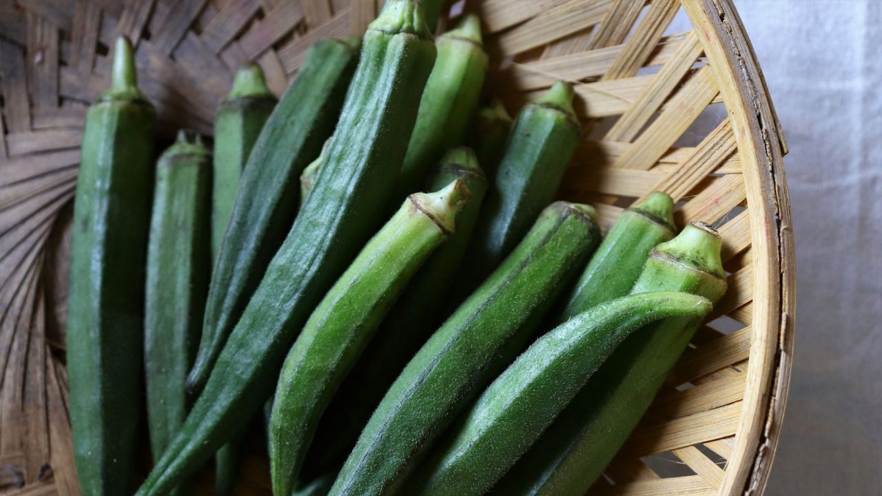 okra pods fresh on vine