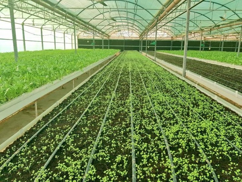 oman-agri-project-transfer-research-dev-xaiee7l8