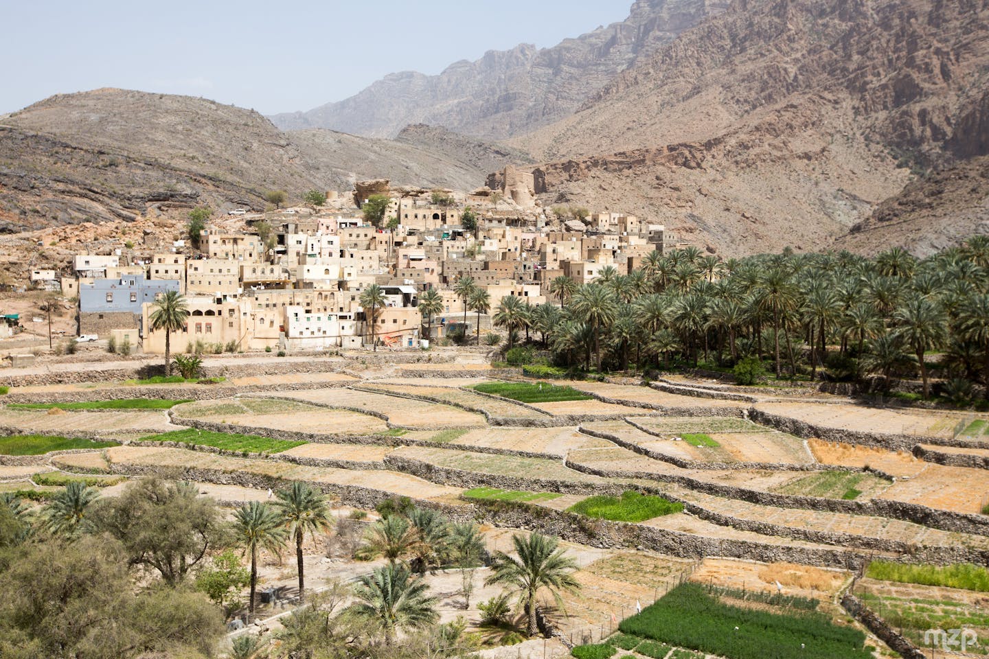 Oman vegetable farms landscape