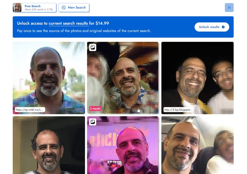 Example of PimEyes search results interface