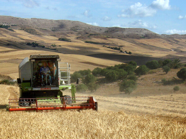 Moroccan agricultural fields and laboratory facilities