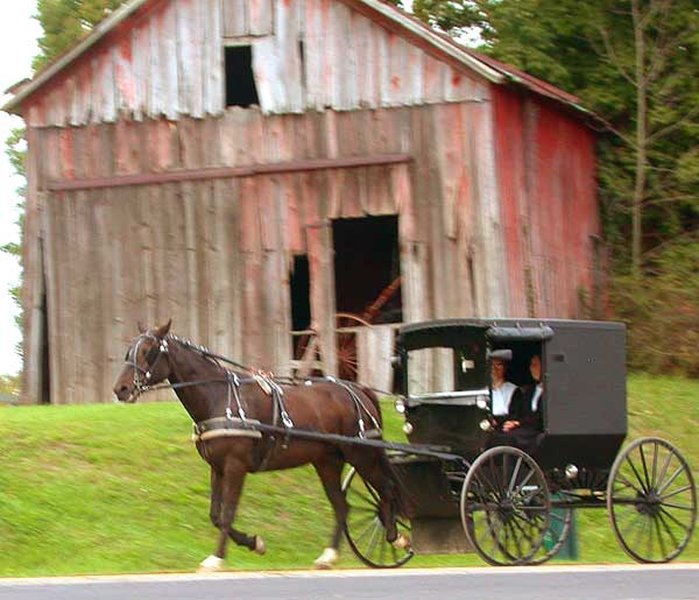 origen-palabra-amish-eqojy14z