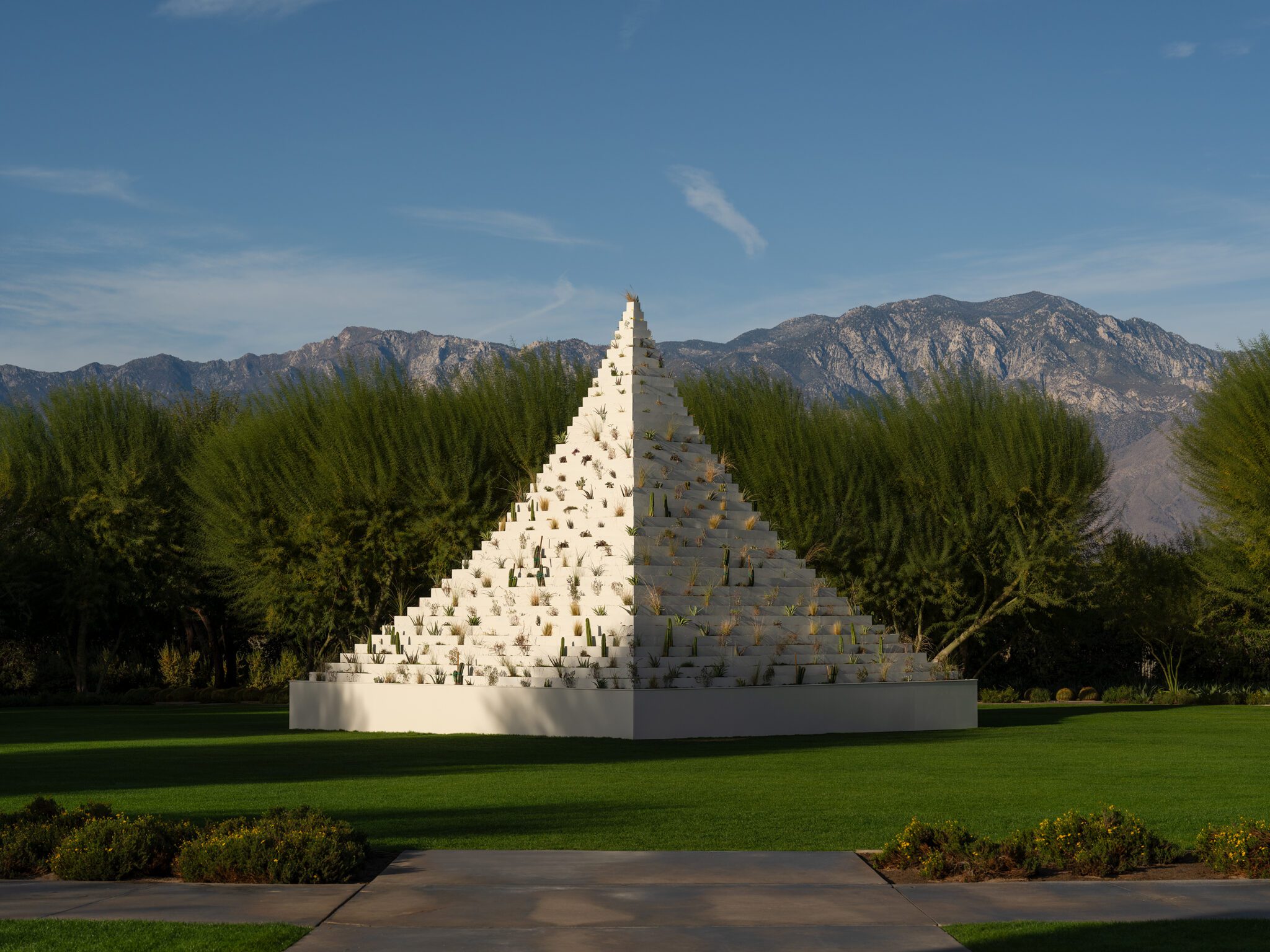 challenging outdoor landscape with growth symbolism