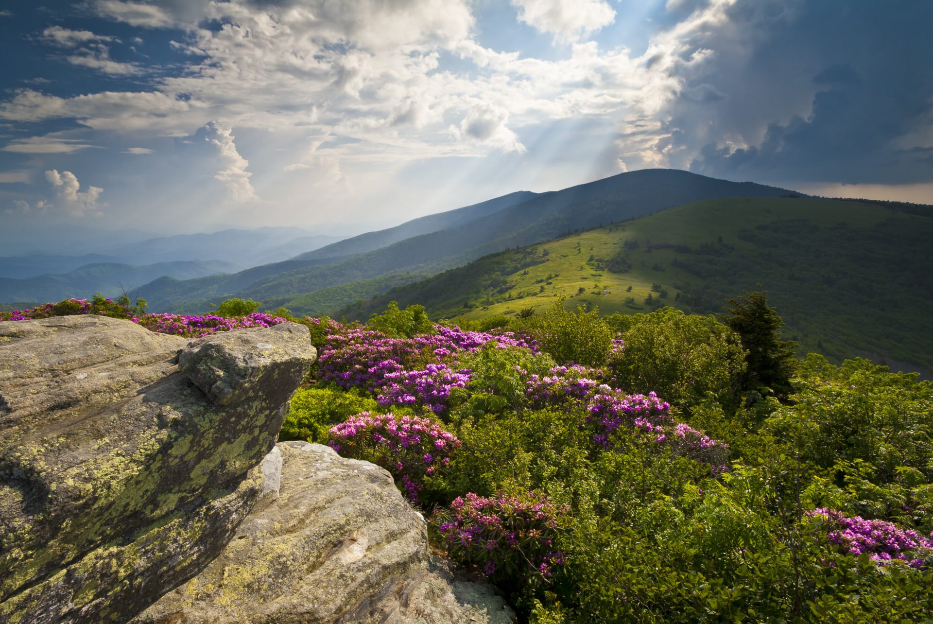 scenic views of mountains and paths