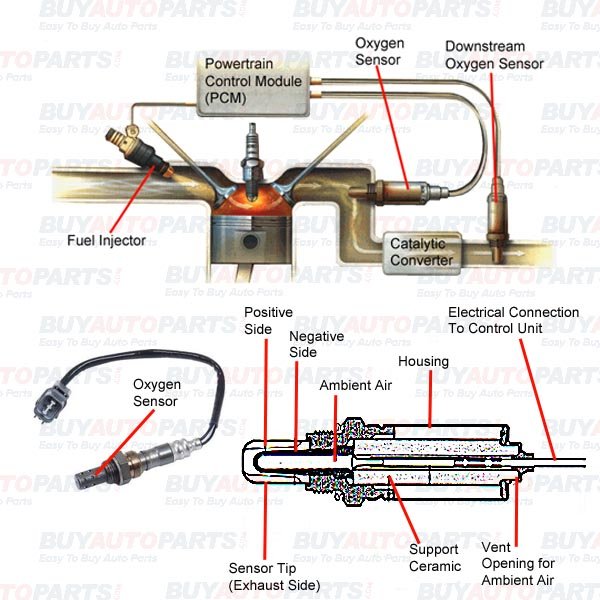 A typical oxygen sensor, showing its various components, including the heating element.