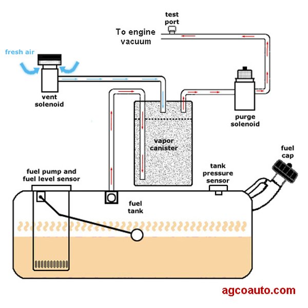 Diagram showing the components of a typical EVAP system including fuel tank, charcoal canister, and various valves.