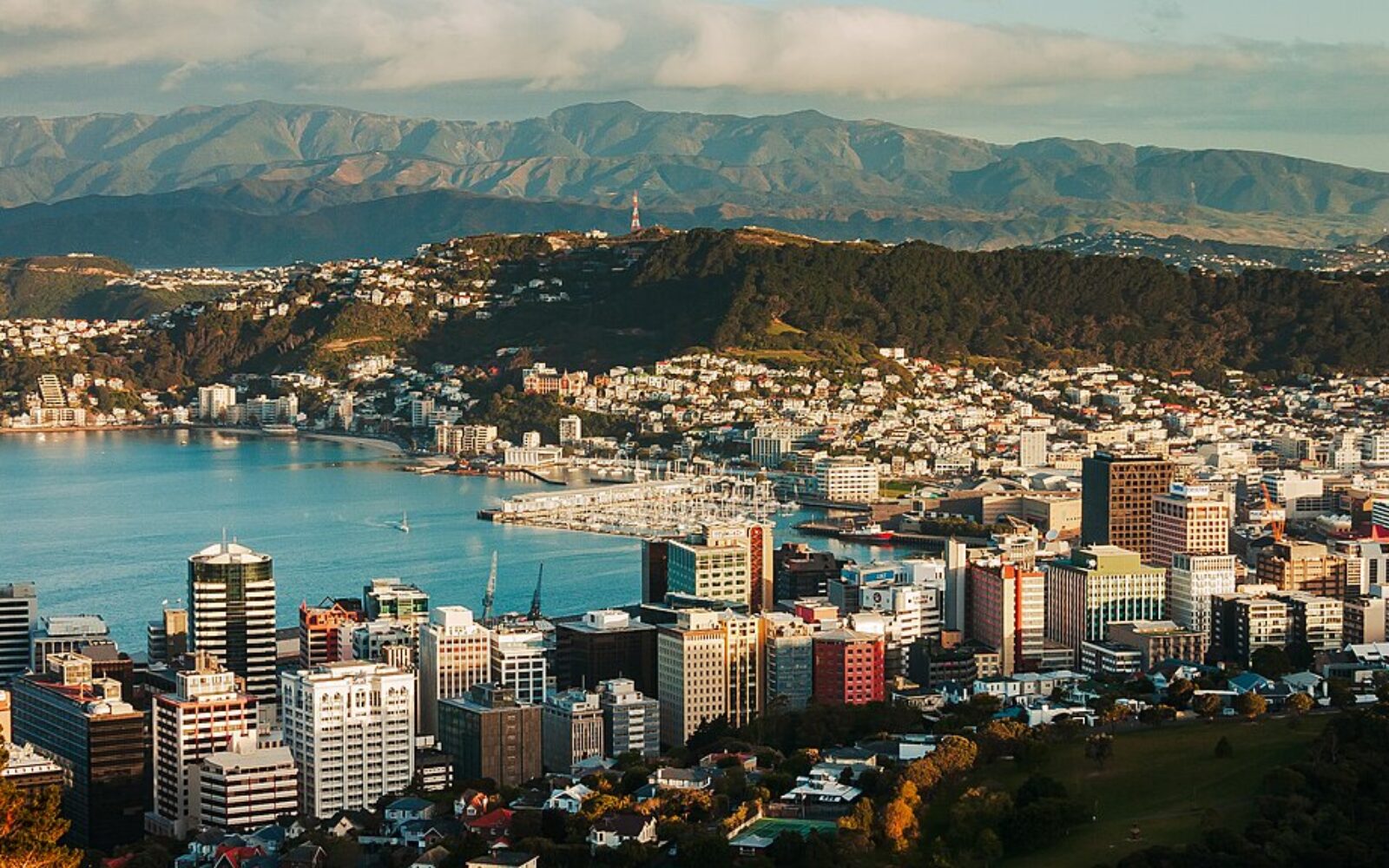 scenic view urban global health
