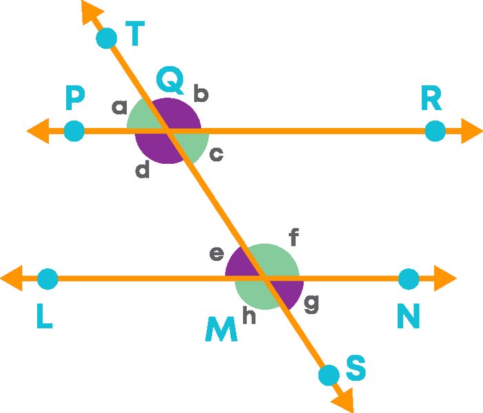 A geometrical diagram showing parallel lines intersected by a transversal with various angle types highlighted.