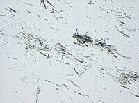 microscopic saltwater crystals