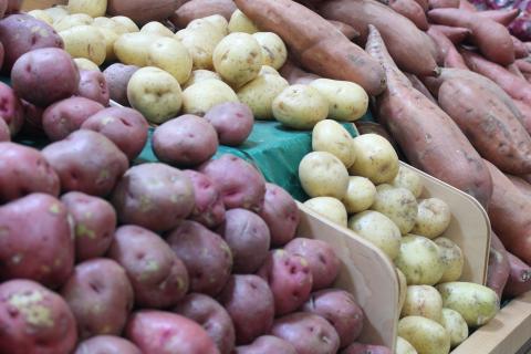 fresh potatoes in market