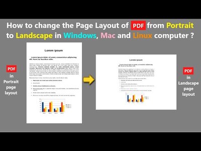 pdf document pages layout