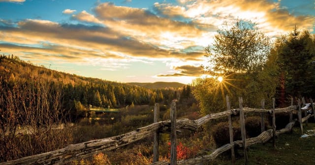 peaceful landscape social unity