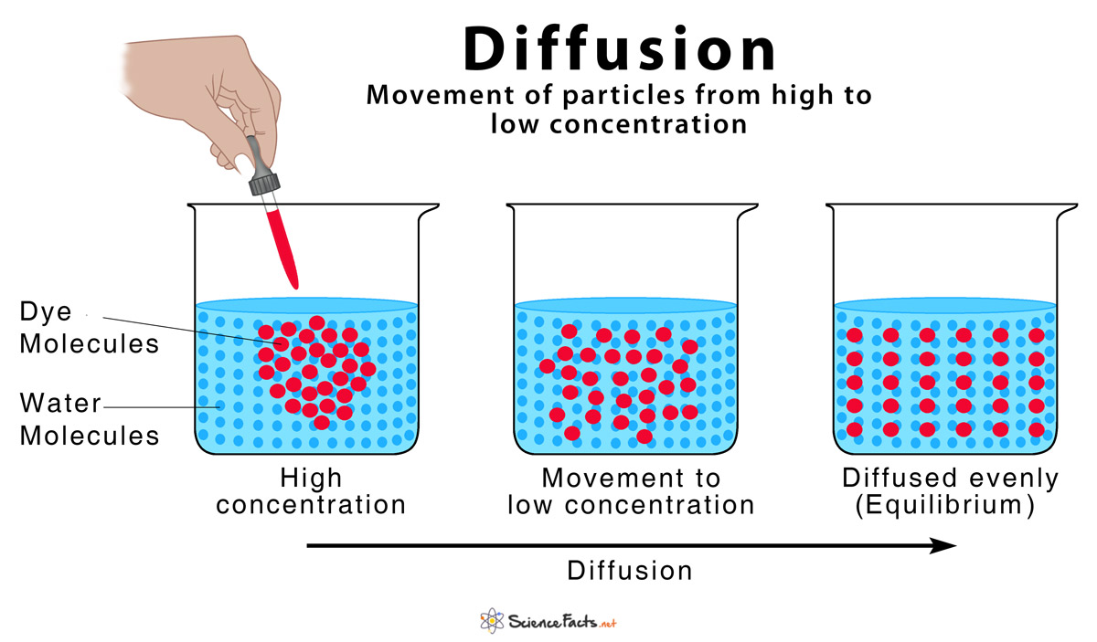 diffusion process science
