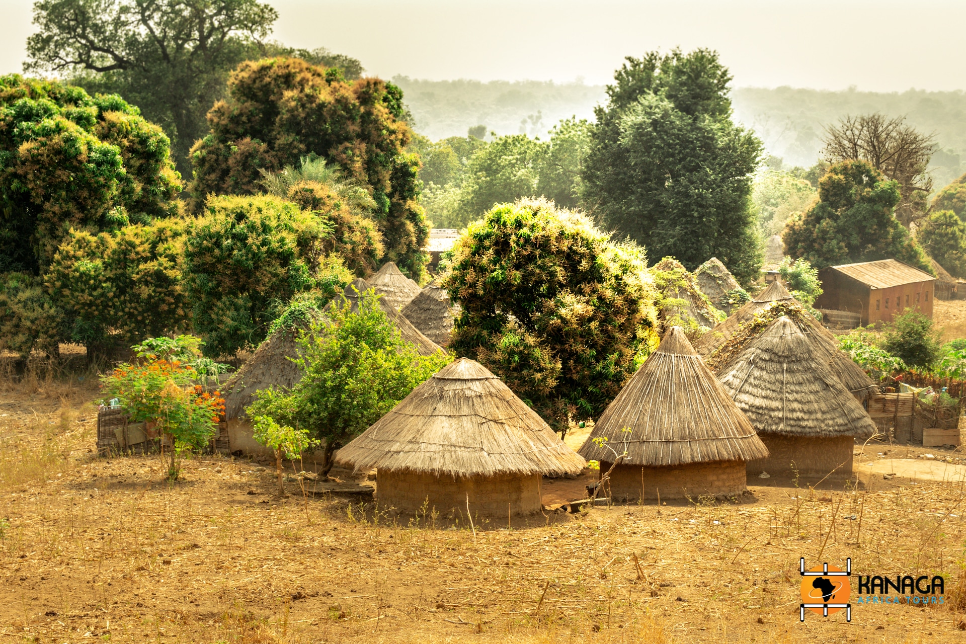 pepiniere Senegal Fouta landscape