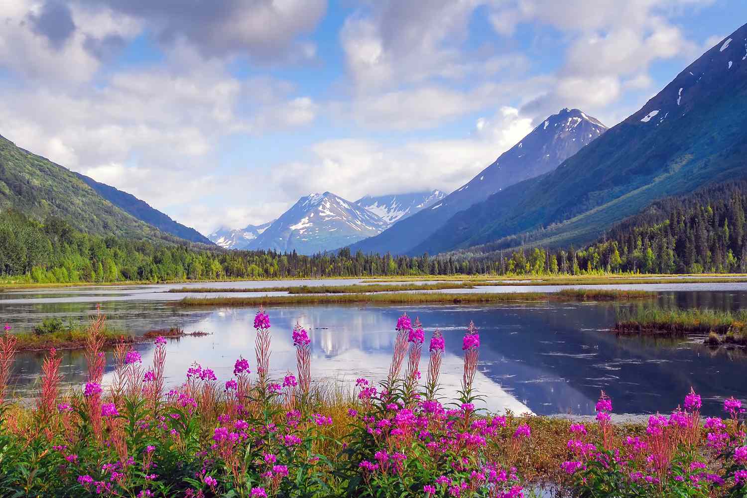 scenic nature landscape
