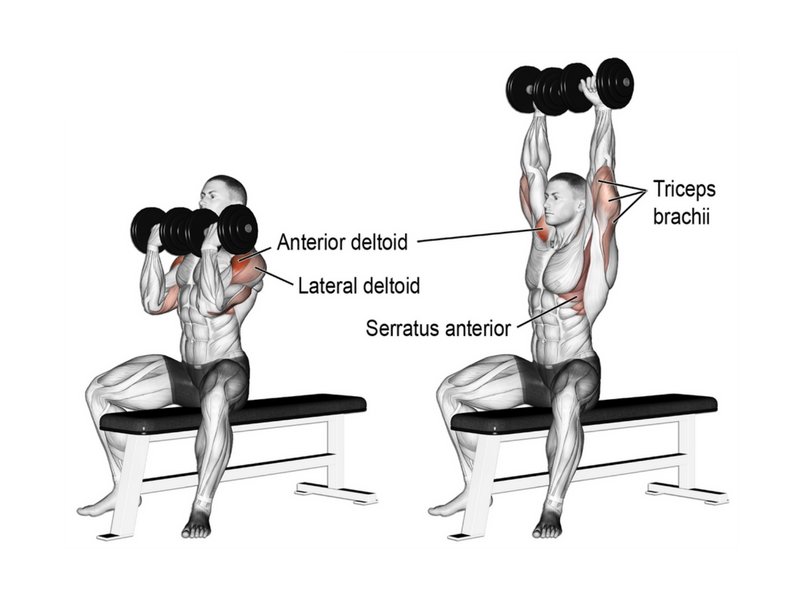 Man performing dumbbell lateral raises