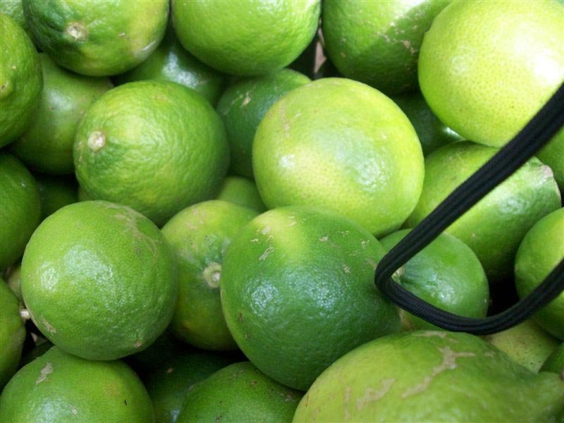 periode-production-citron-senegal-7haicz9u