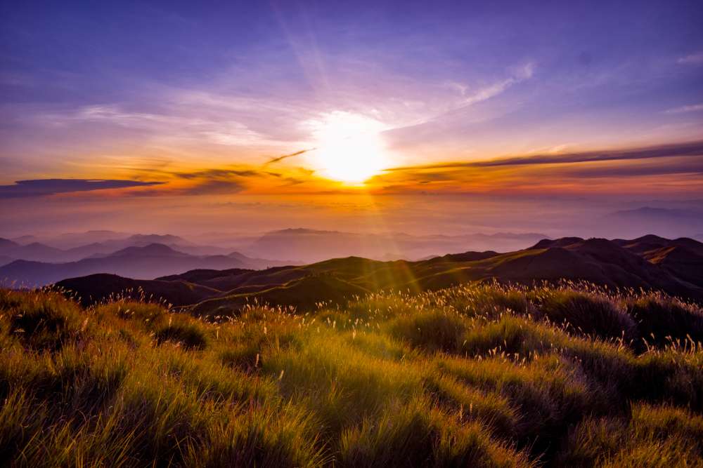 maragusan davao de oro landscape
