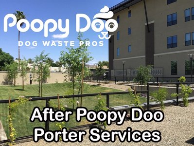 urban pet waste collection service