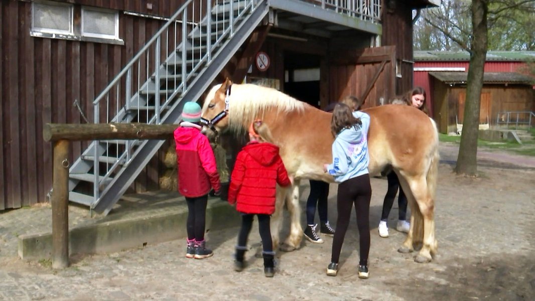 pferdefleisch-bremen-guide-achiqyyr
