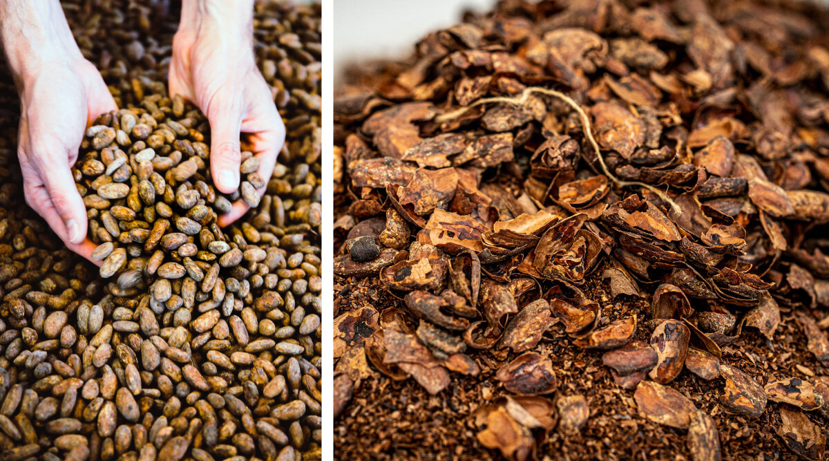 coffee beans and cacao hulls