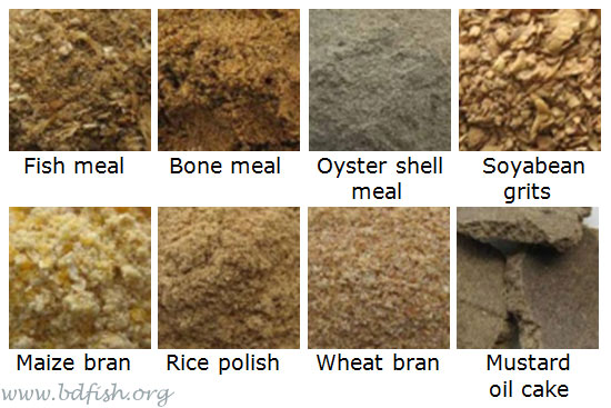 local aquaculture feed ingredients