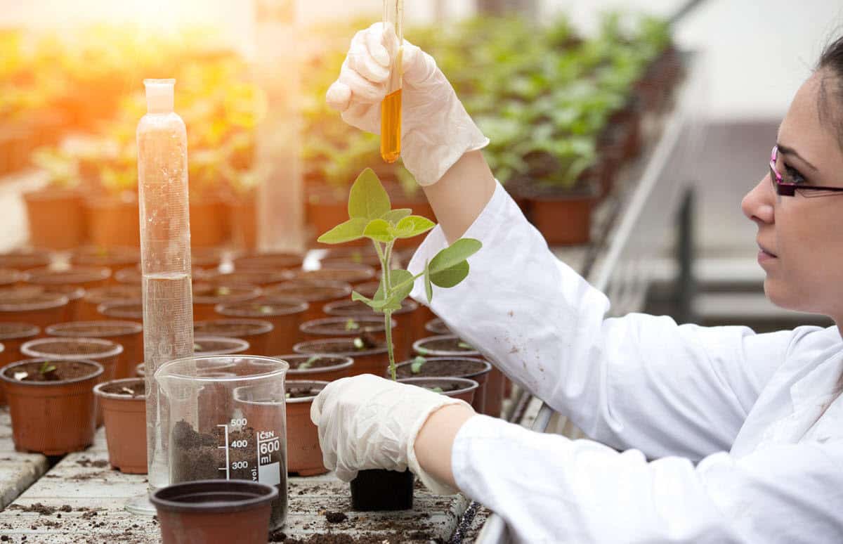 fertilizer fields, agricultural tools, chemical compounds in laboratory