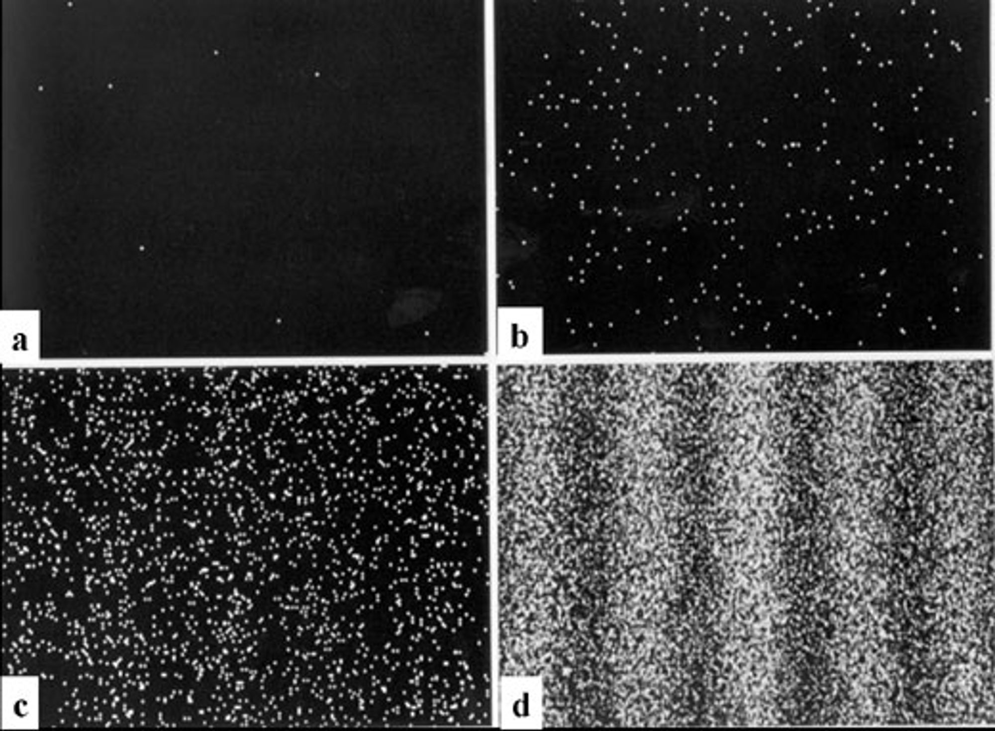 photon interference experiment