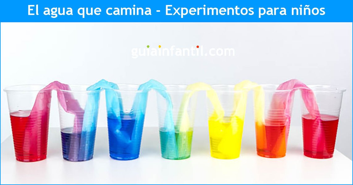 Experimento del agua que camina con colores