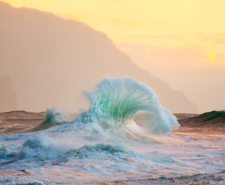 A powerful ocean wave with sunlight passing through its crest, illustrating the dynamic nature and visual beauty of waves.