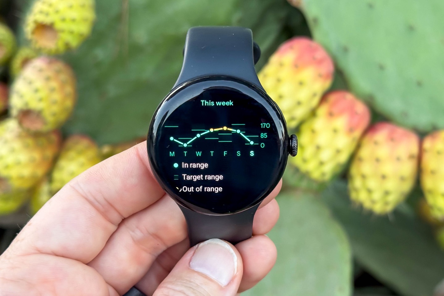google pixel watch outdoors