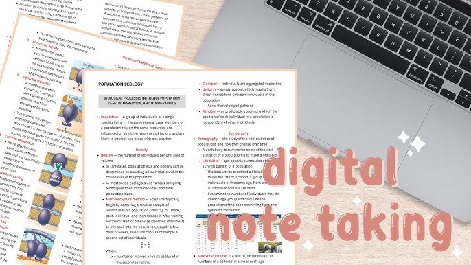 organized notes on laptop
