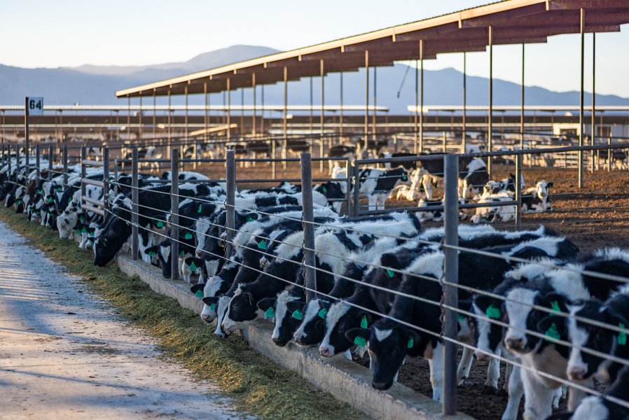 plan-ferme-integree-trois-hectares-7skt5ajn