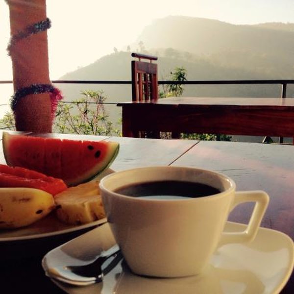 plan-ideal-morning-guide-wqsn7gh0