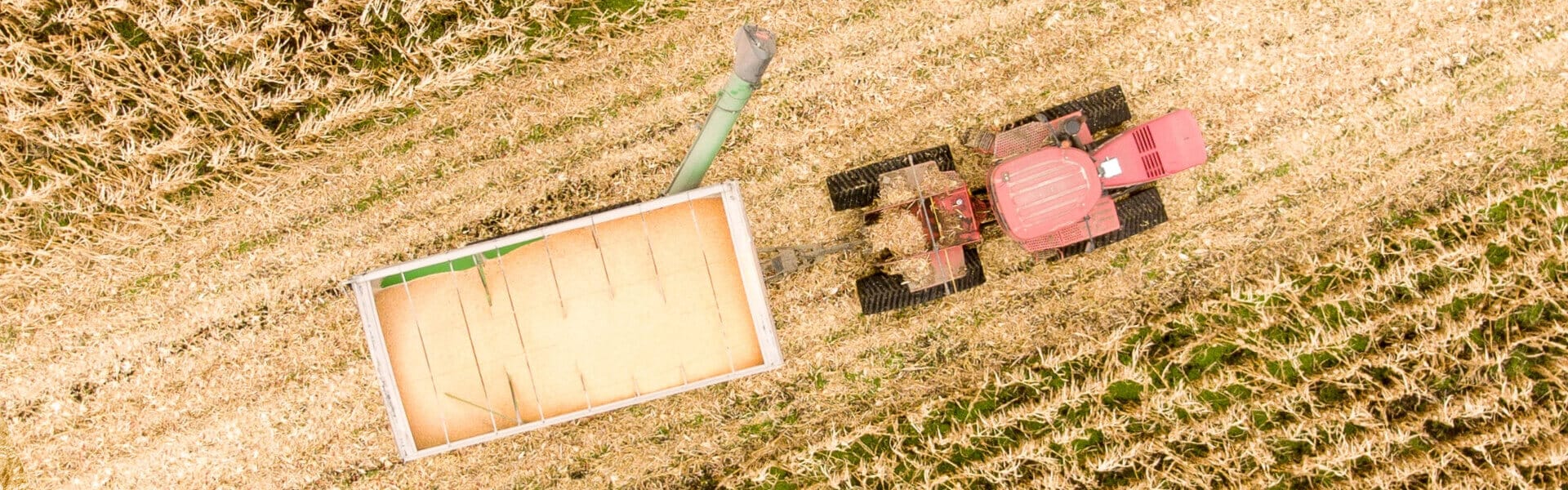 agricultural fields with plants and extract applications