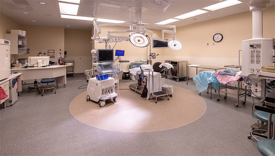 fertility clinic modern hospital