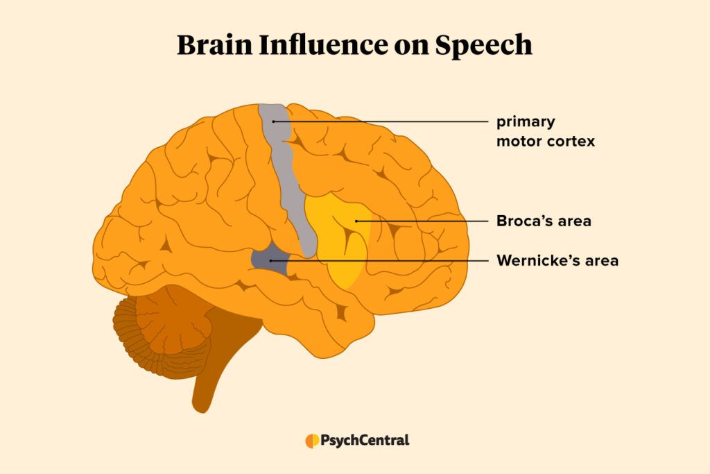 brain language communication techniques