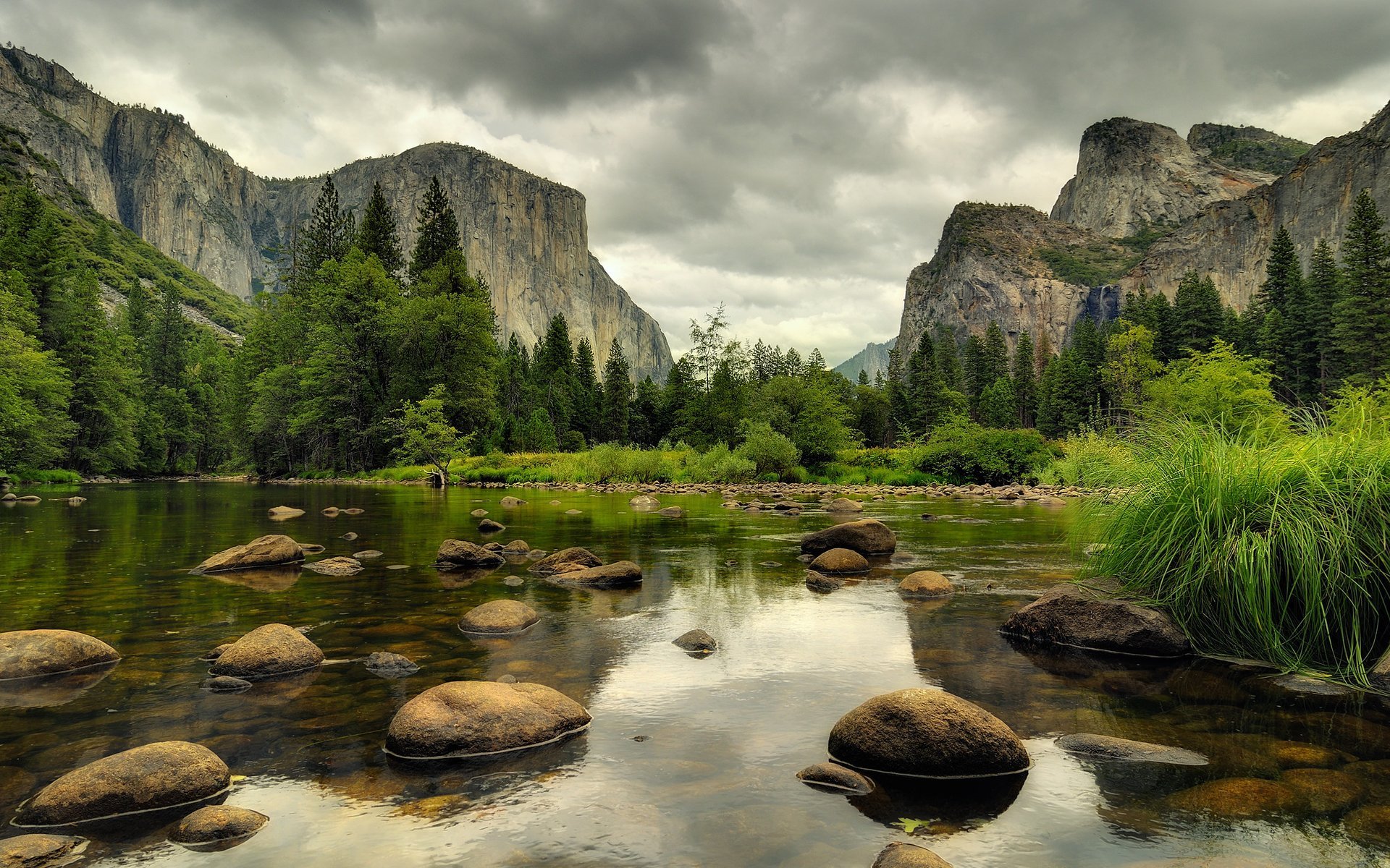 serene nature landscape with trees and water