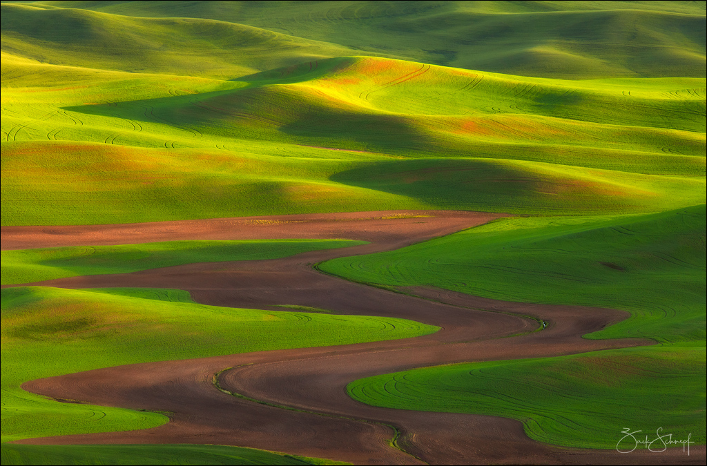 scenic landscape with contrasting light shadows