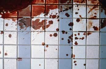 Crime Scene and Evidence Photography - Evidence Photography At the ...