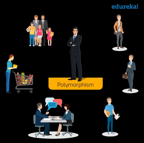 polymorphism-programming-concepts-abt8lrb3