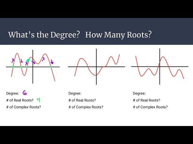 polynomial graph with roots